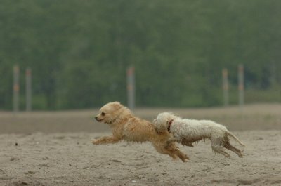 June1_07_048.JPG