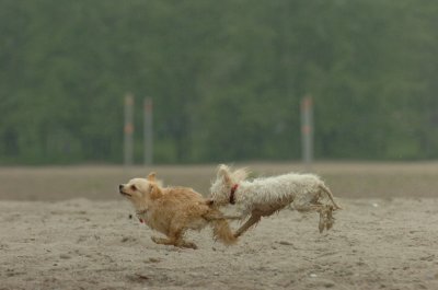 June1_07_049.JPG