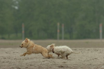 June1_07_050.JPG