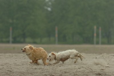 June1_07_051.JPG