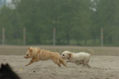 June1_07_052.JPG