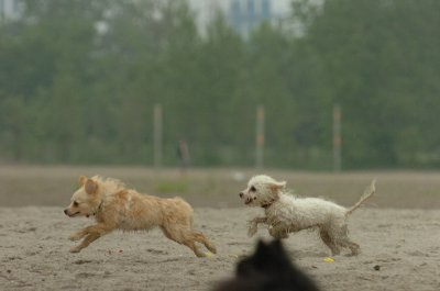 June1_07_053.JPG
