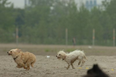 June1_07_054.JPG