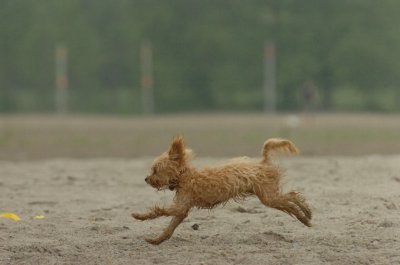 June1_07_055.JPG