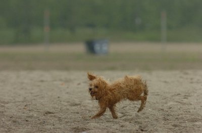 June1_07_056.JPG