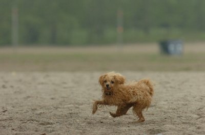 June1_07_057.JPG