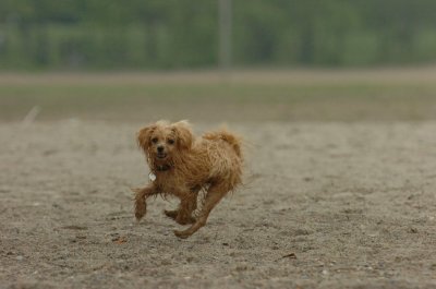 June1_07_058.JPG