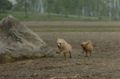 June1_07_059.JPG