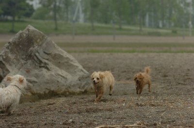 June1_07_060.JPG