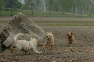 June1_07_061.JPG
