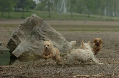 June1_07_062.JPG