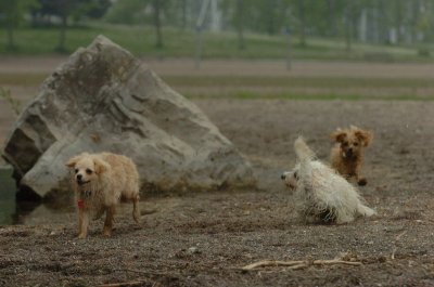 June1_07_063.JPG