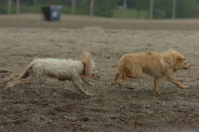 June1_07_065.JPG