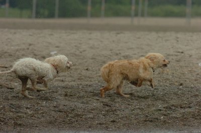 June1_07_066.JPG