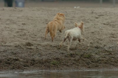 June1_07_067.JPG