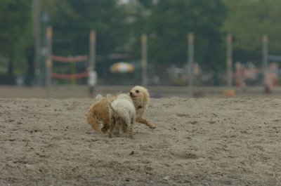 June1_07_073.JPG