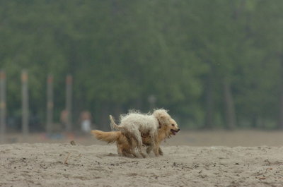 June1_07_077.JPG