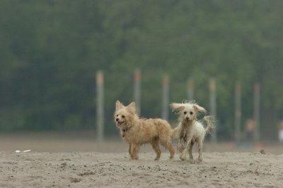 June1_07_078.JPG