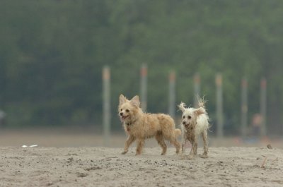 June1_07_079.JPG