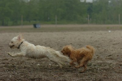 June1_07_085.JPG