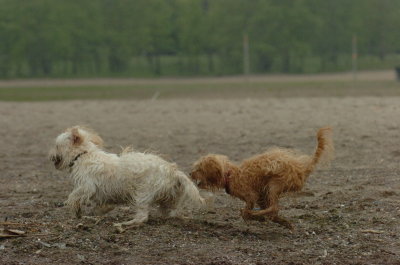 June1_07_086.JPG