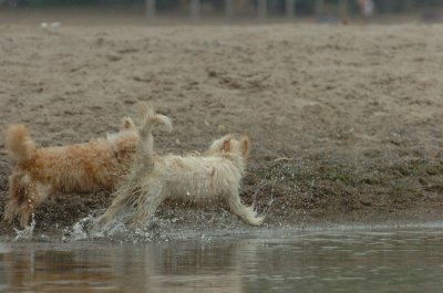 June1_07_088.JPG