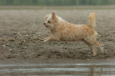 June1_07_096.JPG
