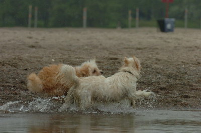 June1_07_097.JPG