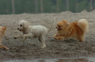 June1_07_132.JPG