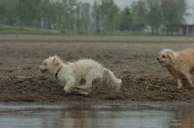 June1_07_135.JPG