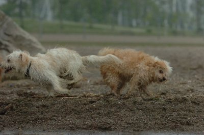June1_07_137.JPG