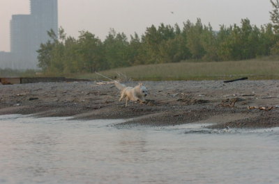 June2_07_567.JPG