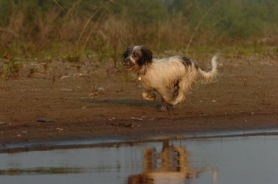 June2_07_328.JPG
