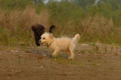 June2_07_338.JPG