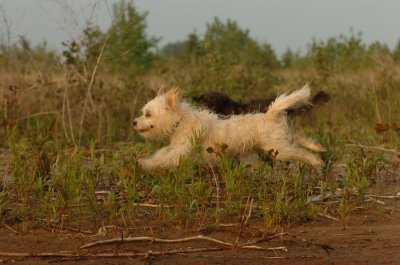 June2_07_339.JPG