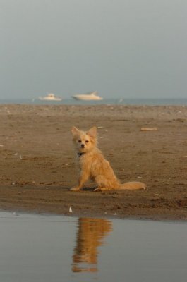 June2_07_344.JPG