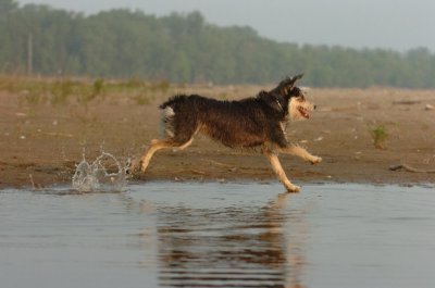 June2_07_346.JPG