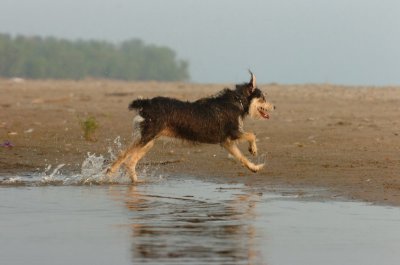 June2_07_348.JPG