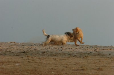 June2_07_352.JPG