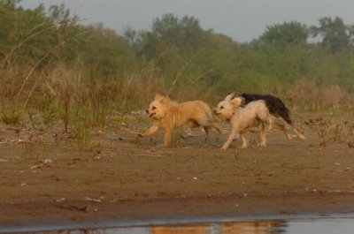 June2_07_359.JPG