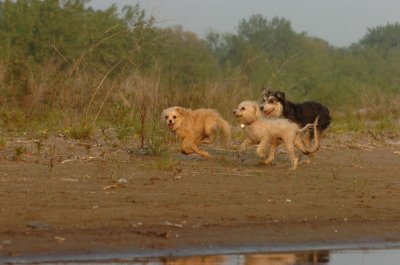 June2_07_360.JPG
