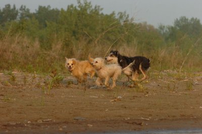 June2_07_362.JPG
