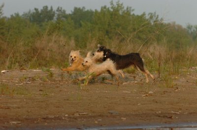 June2_07_363.JPG