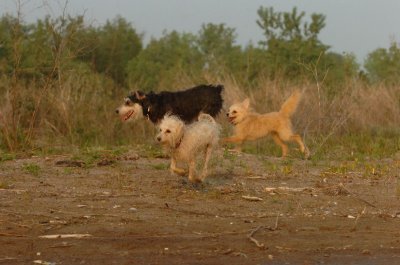 June2_07_364.JPG