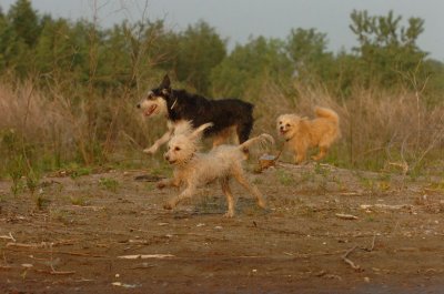 June2_07_365.JPG