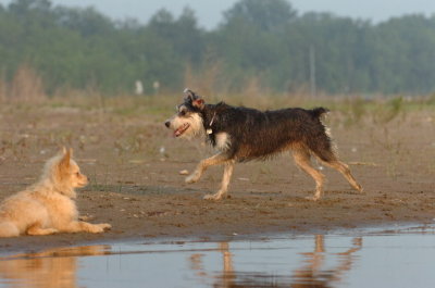 June2_07_375.JPG