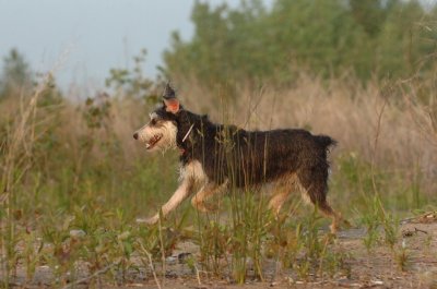 June2_07_376.JPG