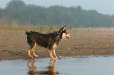 June2_07_377.JPG
