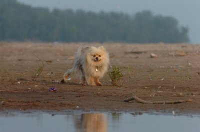 June2_07_378.JPG