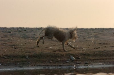 June2_07_383.JPG